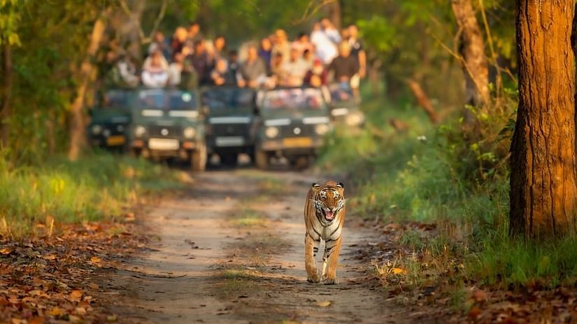 Enjoy Birdwatching in Dudhwa Tiger Reserve